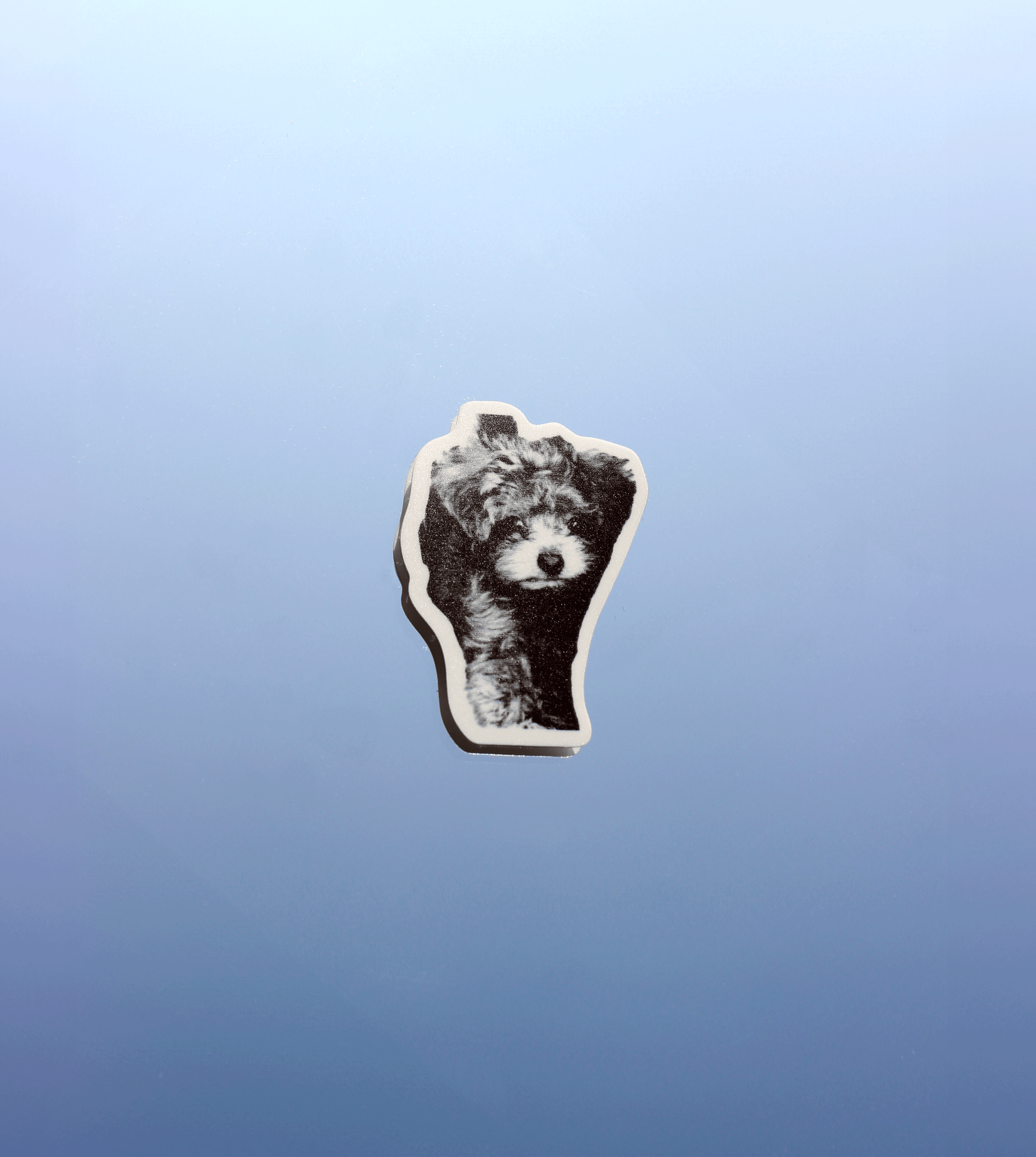 復古噗 貼紙 Pooly the Poodle Sticker