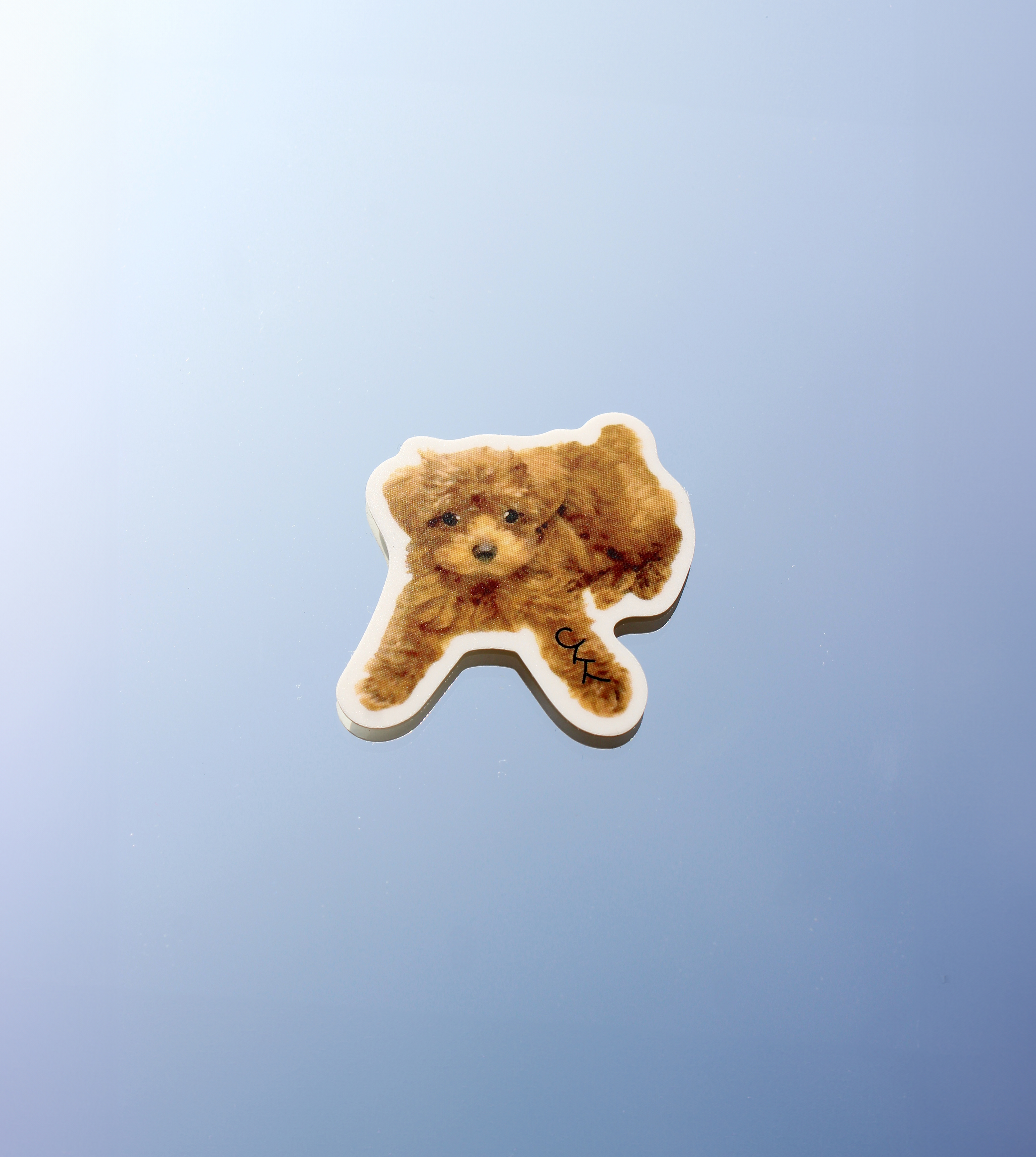 趴著的噗 貼紙 Pooly the Poodle Sticker